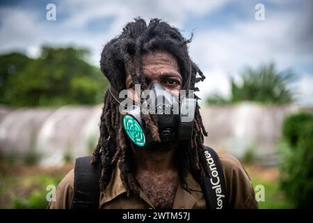Man Spraying herbicide Trinidad and Tobago Stock Photo