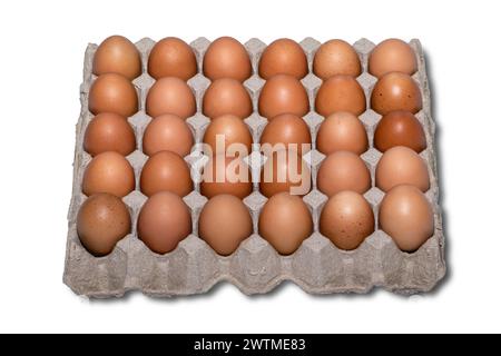 Chicken eggs in a cardboard package. 30 raw eggs in paper egg panel isolated on white background. clipping path. Stock Photo