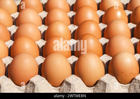 Chicken eggs in a cardboard package. raw eggs in a paper egg panel. Stock Photo