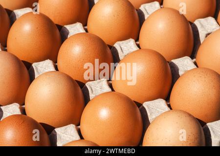 Chicken eggs in a cardboard package. raw eggs in a paper egg panel. Stock Photo
