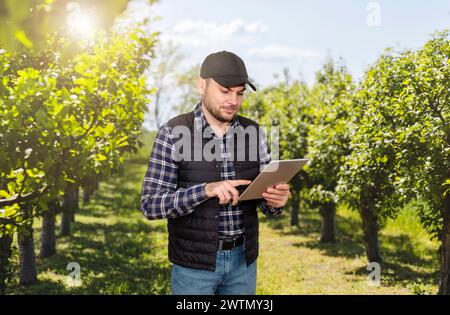 A farmer uses a digital tablet while standing in a vineyard. Stock Photo