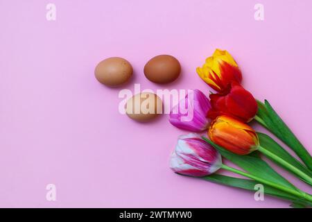 Bouquet of tulips and three brown chicken eggs on pink background. Happy Easter card . . eggs and five tulips on a paper background. Stock Photo