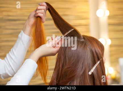 Hairdresser combing her long, red hair of his client in the beauty salon. Professional hair care and creating hairstyles. Stock Photo