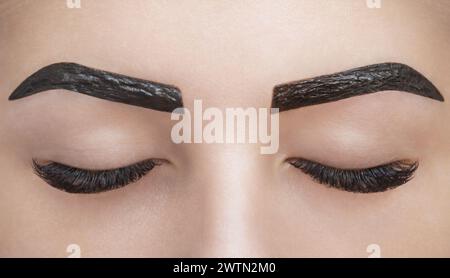 makeup artist applies paint henna on eyebrows in a beauty salon. Professional care for face. Stock Photo