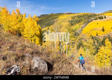 Autumn in Vail Stock Photo