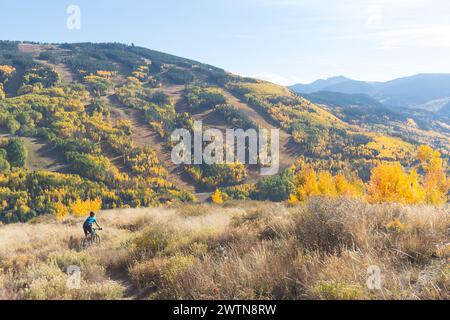 Autumn in Vail Stock Photo