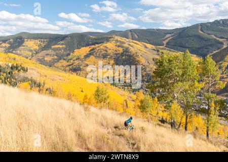 Autumn in Vail Stock Photo