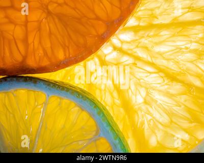 Citrus fruit slices on white background, top view. Closeup. Stock Photo