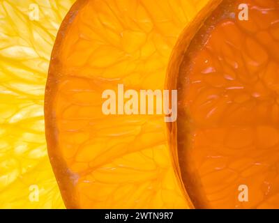 Fresh citrus fruits slices - oranges, mandarins, lemons and limes, top view Stock Photo