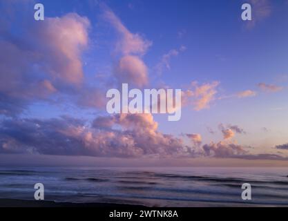 Sunset clouds at Beach 4, Olympic National Park, Washington, USA. Stock Photo