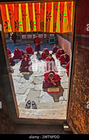 Young monks read scripture at Kenchosum Lhakhang (monastery) in Jakar, Bhutan. Stock Photo