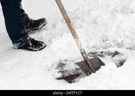 A skilled worker efficiently clears snow using an iron shovel with a sturdy wooden handle. Experienced professional worker quickly removes the snow Stock Photo