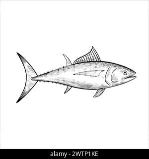 Tuna fish. Isolated design elements. Vector illustration in black and white engraving style. Stock Vector