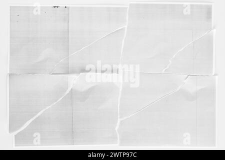 Torn Pieces of Copier Paper Arranged on a Plain Background Stock Photo