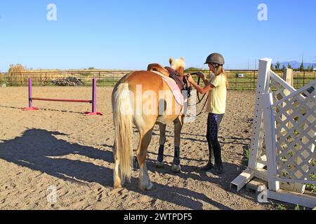 A  R WILDER horse riding School with a Saddled Horse and Rider and blue sky  in the background Stock Photo