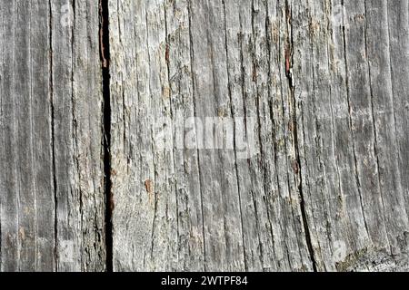 Grey old wood plank Stock Photo