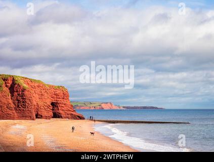 The ancient Langstone red rock on the Dawlish coast Devon west England UK Stock Photo