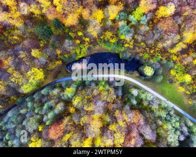 Aerial view of vibrant green and yellow rapeseed fields surrounding a ...