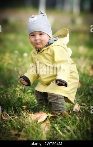 Happy little boy picking dandelions flower on a green field. Cute toddler exploring nature. Close-up Stock Photo