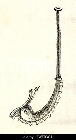 Ancient-style grayscale engraving: Seahorse-shaped pipe-like object. Unknown author, Magazine Pittoresque 1852. Stock Photo