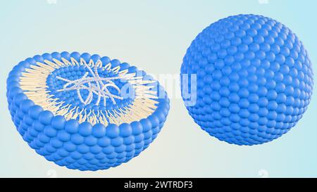 3d rendering of DNA helixes inside of liposome Stock Photo