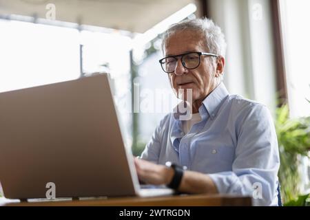 Senior man using laptop at home Stock Photo