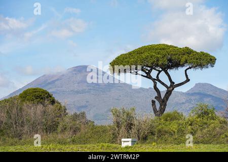Vesuvius volcano seen from Roman city of Pompeii, Naples, Italy. Stock Photo