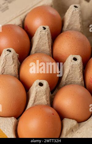brown chicken eggs in an Egg Box Stock Photo