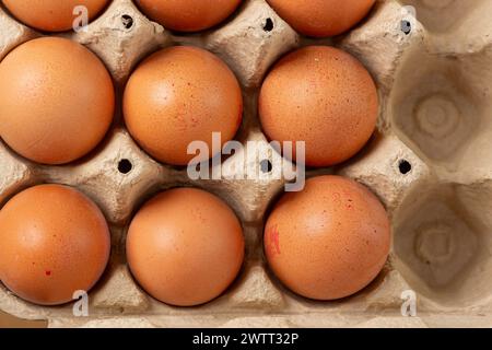 brown chicken eggs in an Egg Box Stock Photo