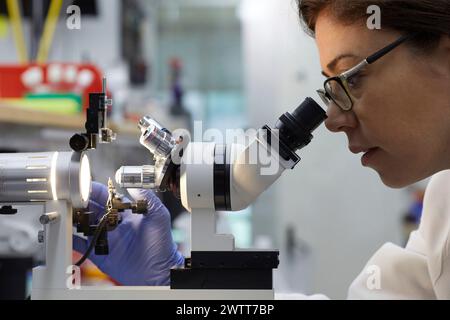 Attractive female scientist testing using microscope to test for dna Stock Photo