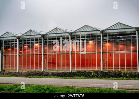 Glow of the greenhouse at dusk Stock Photo