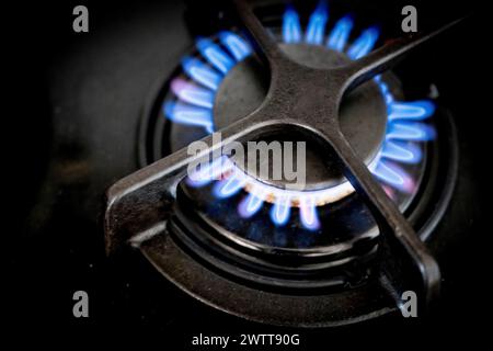 Closeup of a blue flame on a gas stove burner Stock Photo