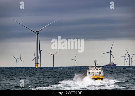 Boat cruising through a wind farm at sea under a cloudy sky. Stock Photo