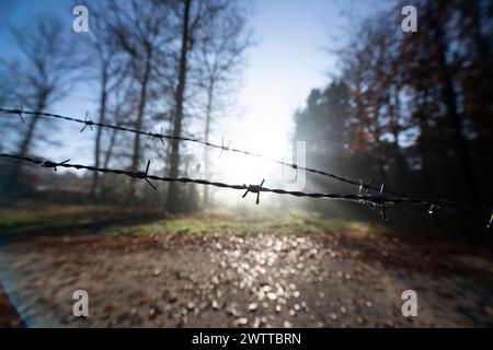 Sunrise piercing through a foggy landscape, with a barbed wire fence in focus. Stock Photo