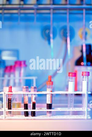 Test tubes containing blood samples on a laboratory bench Stock Photo