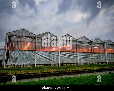 Greenhouse glowing warmly against a dramatic evening sky Stock Photo