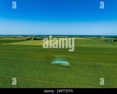 Aerial view of lush green fields and dense forests set against the ...