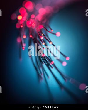 Fibre optics carrying data through the internet. Stock Photo