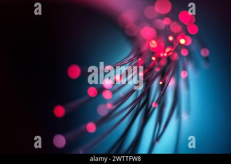Fibre optics carrying data through the internet. Stock Photo