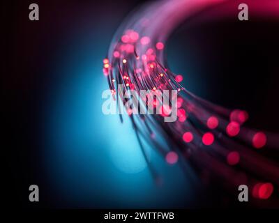 Fibre optics carrying data through the internet. Stock Photo