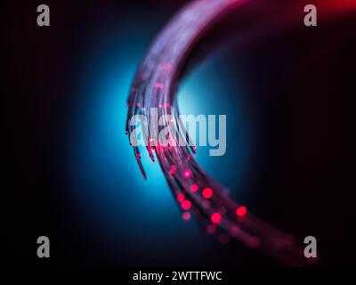 Fibre optics carrying data through the internet. Stock Photo