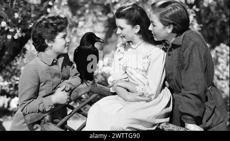 THE SECRET GARDEN 1949 MGM film with from left:  Brian Roper,, Margaret O'Brien, Dean Stockwell and Jimmy the Crow Stock Photo