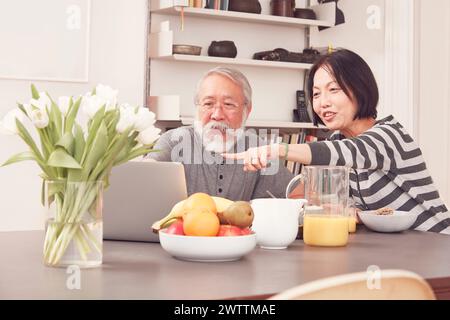 Elderly couple using laptop at home Stock Photo