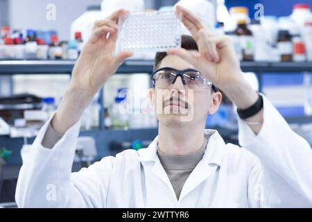 Scientist examining samples in a laboratory Stock Photo