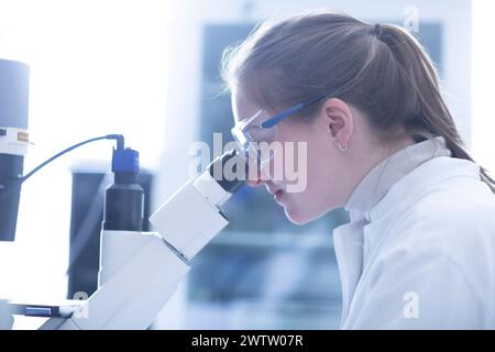 Scientist examining samples under a microscope in a laboratory. Stock Photo