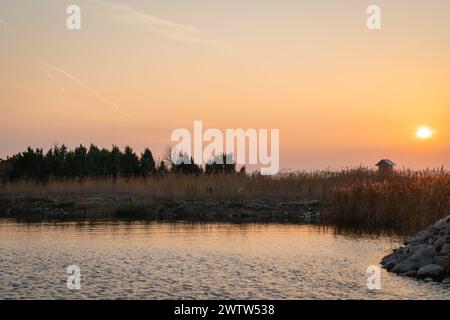 Scenic view of sunset at the coast of Baltic Sea. Seashore  landscape with juniper and reeds in the evening light. Stock Photo