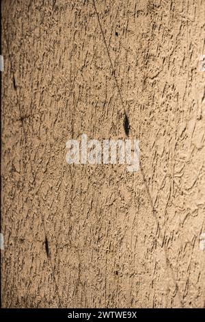 Warm-tinted photograph showcasing the coarse texture of a plastered wall Stock Photo