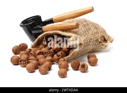 shagbark hickory nuts on white background Stock Photo