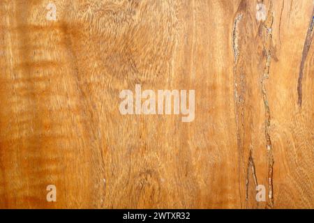 Indian sheesham hardwood grain Stock Photo