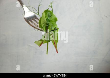 close-up of a fork with green salad, young beet leaves and pea shoots on a light textured background with space for text Stock Photo